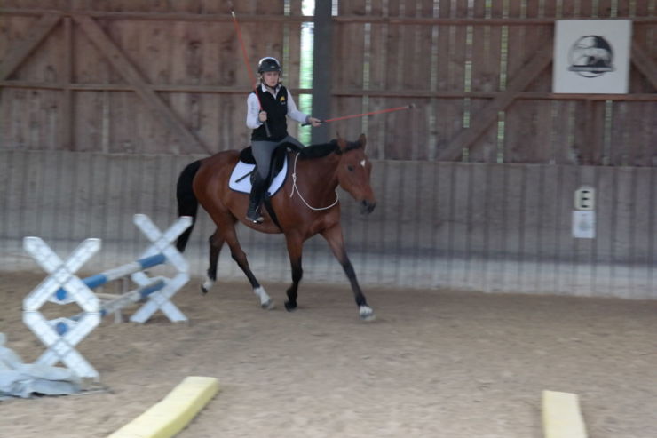 SAM_1925 - Kopie.jpg